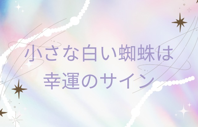 小さい白い蜘蛛は幸運を呼ぶサイン