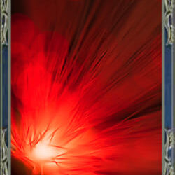 電話占いウィル,神照ソウルー先生